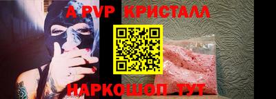 бошки Кингисепп