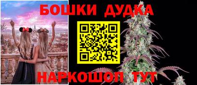 бошки Кингисепп