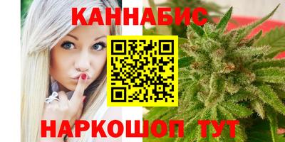 бошки Кингисепп